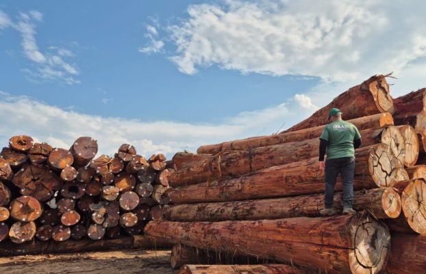 Sinaflor garante transparência e legalidade na produção de madeira no Amazonas