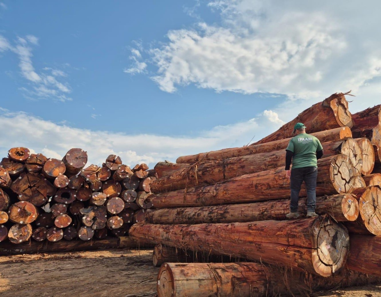 Sinaflor garante transparência e legalidade na produção de madeira no Amazonas